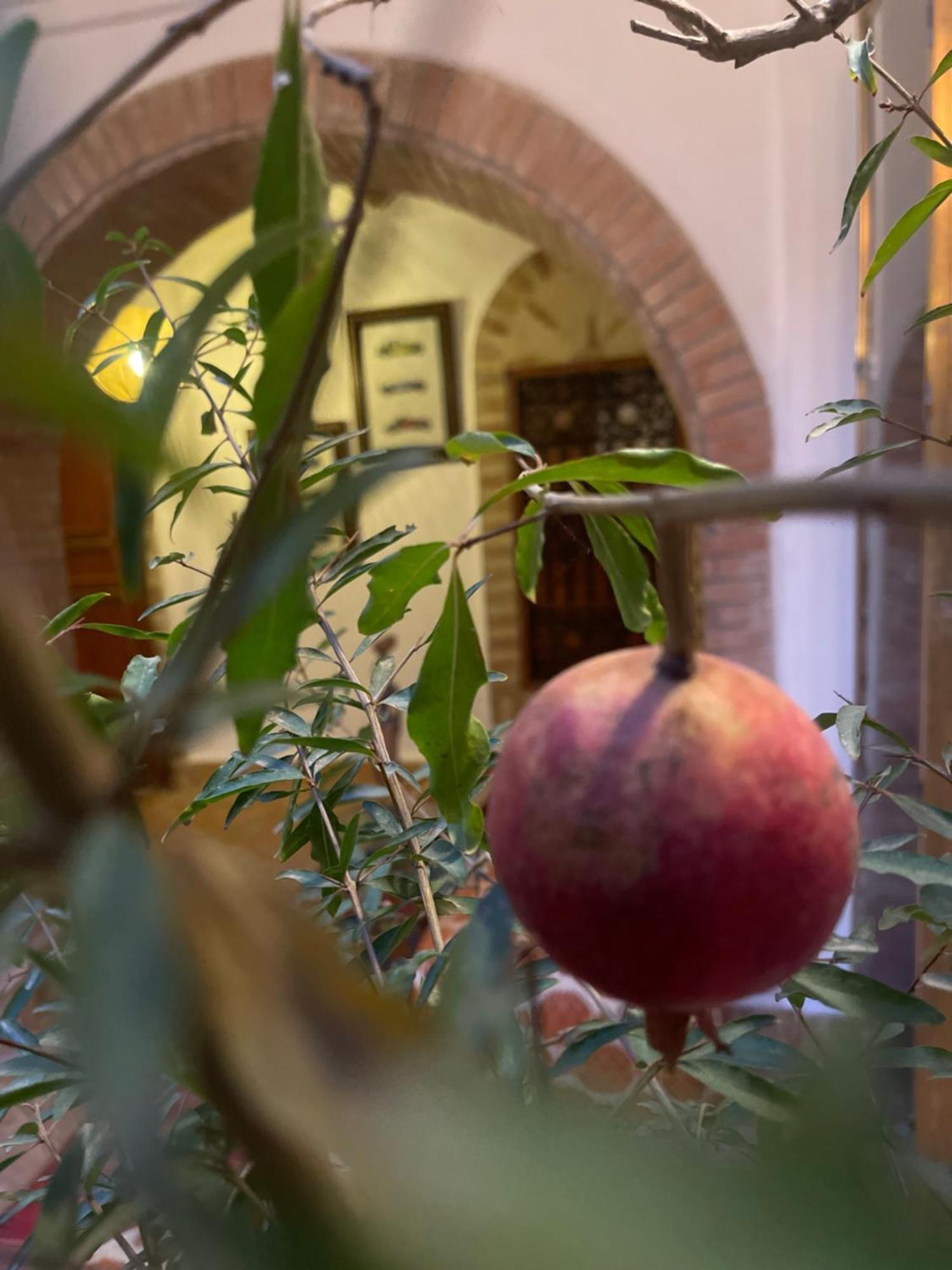La Maison Berber Shams Μαρακές Εξωτερικό φωτογραφία